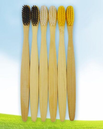 Brosse à dents en bois de bambou